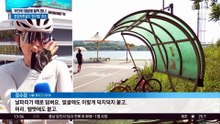 빨라진 활동 시기…무더위가 데려온 ‘팅커벨’