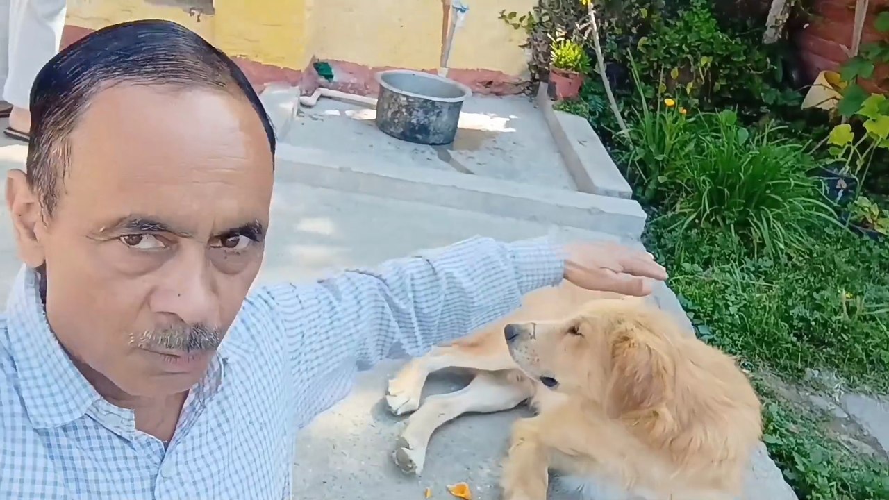 बन्दरो ने किया परेशान गेहू भी नही सुखाने दे रहे