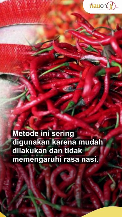 9 Cara Hilangkan Kutu Beras dengan Mudah dan Alami di Rumah