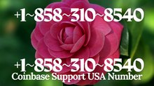【*SEC*】≋{{CoMpLeTe%List}} of Official Coinbase CuStomer SeRvIcE™️Wallet Support Numbers ≋ ≋