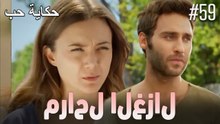 مشاهد الغزال