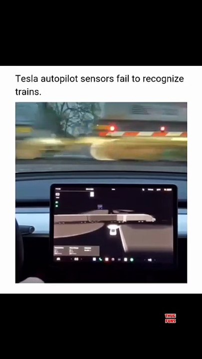Malfunction with Tesla | Meme Shorts Gone WILD! 😂🔥 Instant Laughs