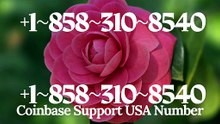 2026{{ＯFFICIAL}}™ {[GUIDE]} ⁂Coinbase® Toll free© helpline® Numbers Contact⁂ (24/7) Live Person Care)