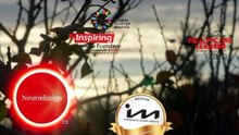 The Founder Mihaela Pleșca' Awards and Juror Accolades in the Neurodesign' Sun Rays