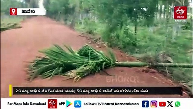 ರಾಜ್ಯದ ಹಲವೆಡೆ ಬಿರುಗಾಳಿ ಸಹಿತ ಮಳೆ: ಸಿಡಿಲಿಗೆ ಇಬ್ಬರು ಬಲಿ, ತೆಂಗು ಅಡಿಕೆ ಮರಗಳು ನೆಲಸಮ