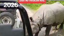 Rhino encounter at Manas National Park leaves tourists terrified