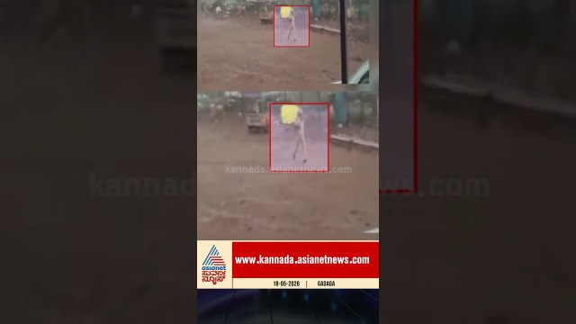 ಕೂದಲೆಳೆ ಅಂತರದಲ್ಲಿ ಮಹಿಳೆ ಬಚಾವ್ | #gadag #heavyrain #homeguard #suvarnanews