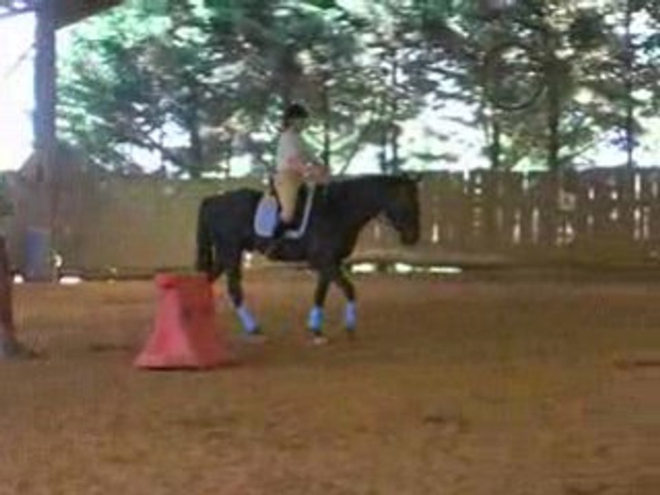 DSCN9388