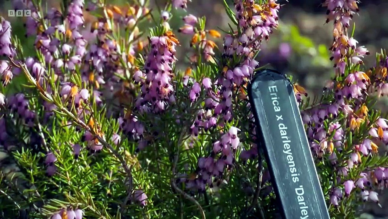 Beechgrove Garden S48E05