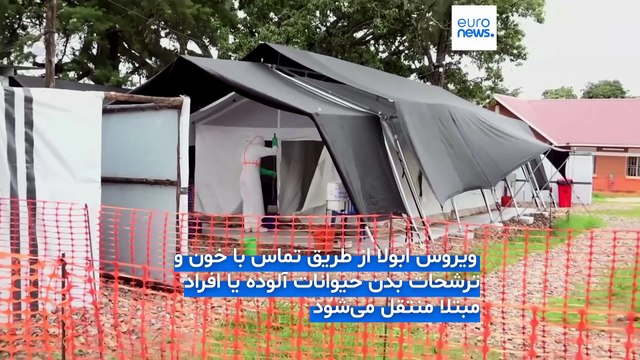 ویروس ابولا چیست، چه علائمی دارد و چرا سازمان بهداشت جهانی نسبت به شیوع آن هشدار داده است؟
