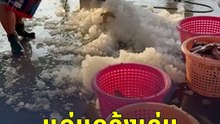 แค่แกล้งเล่น หรือทารุณกรรม? | PPTV Online