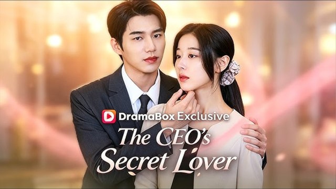 The CEO's Secret Lover