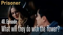 What will they do with the flower-Episode 40