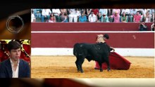 El novillero Julio Méndez, una de las estrellas de su escalafón que se presenta el 26 de mayo en San Isidro en Las Ventas