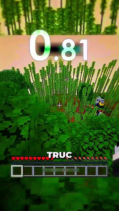 🤔 Donne ton avis en commentaire ! #minecraft