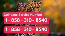 F⛧⛧ull™ {{L.i⛧>s.t}} of Coinbase SUPPORT© TOLL FREE℗ (24/7 Live Person Contact) Numbers