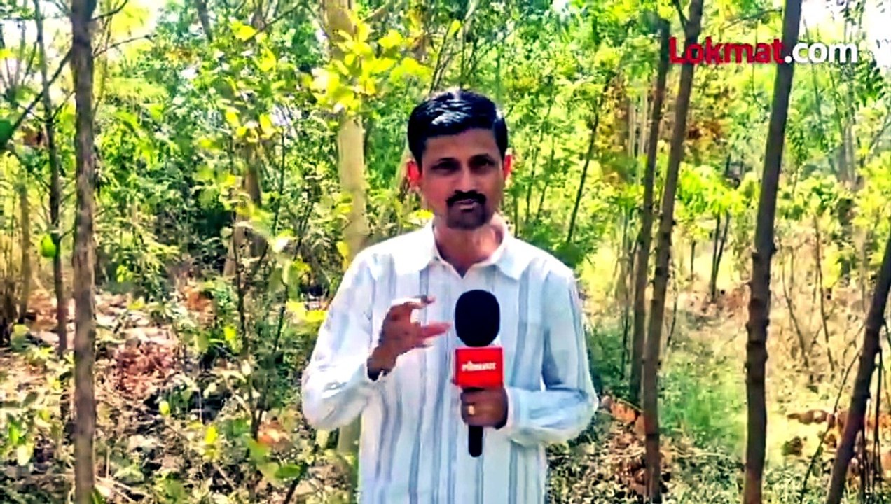 एकीचं बळ! जिथं गवतही उगत नव्हतं, तिथं नंदनवन फुललं...