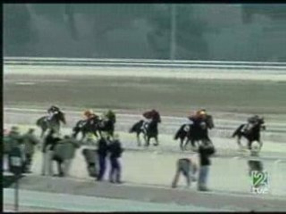 2005.12.25, nº 431 LZ (Loto-Turf, Hand 1ªp) Polish Quest