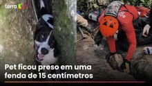Cachorrinha é resgatada após ficar 3 dias presa entre rochas no Espírito Santo