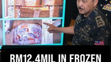 Almost 170 tonnes of frozen meat seized in Kajang