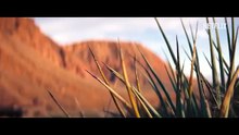 Mauvaise influenceuse : L'histoire de Jodi Hildebrandt Bande-annonce (EN)