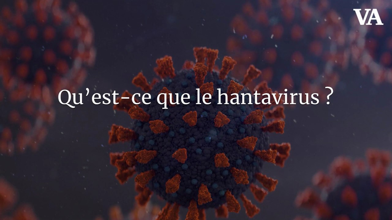 Qu’est-ce que le hantavirus ?