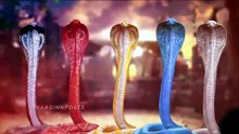 Naagin 7 Episode 43 Updates and Promo Today