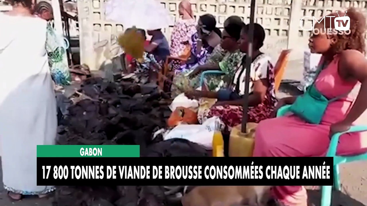 [#Reportage] Gabon : 17 800 tonnes de viande de brousse consommées chaque année