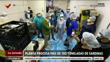 Nueva Esparta | Dinamizan el modelo de gestión económica con planta procesadora de sardinas