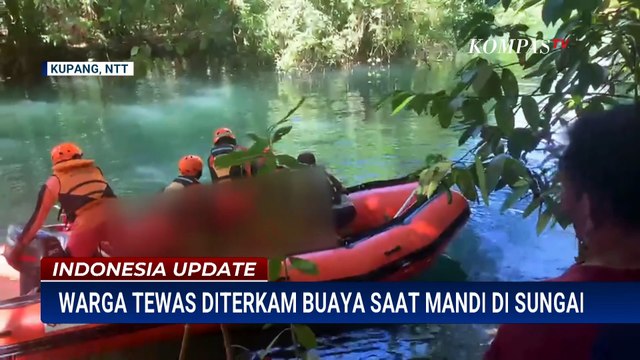 Tim SAR Temukan Jasad Warga Kupang yang Tewas Diterkam Buaya di Sungai