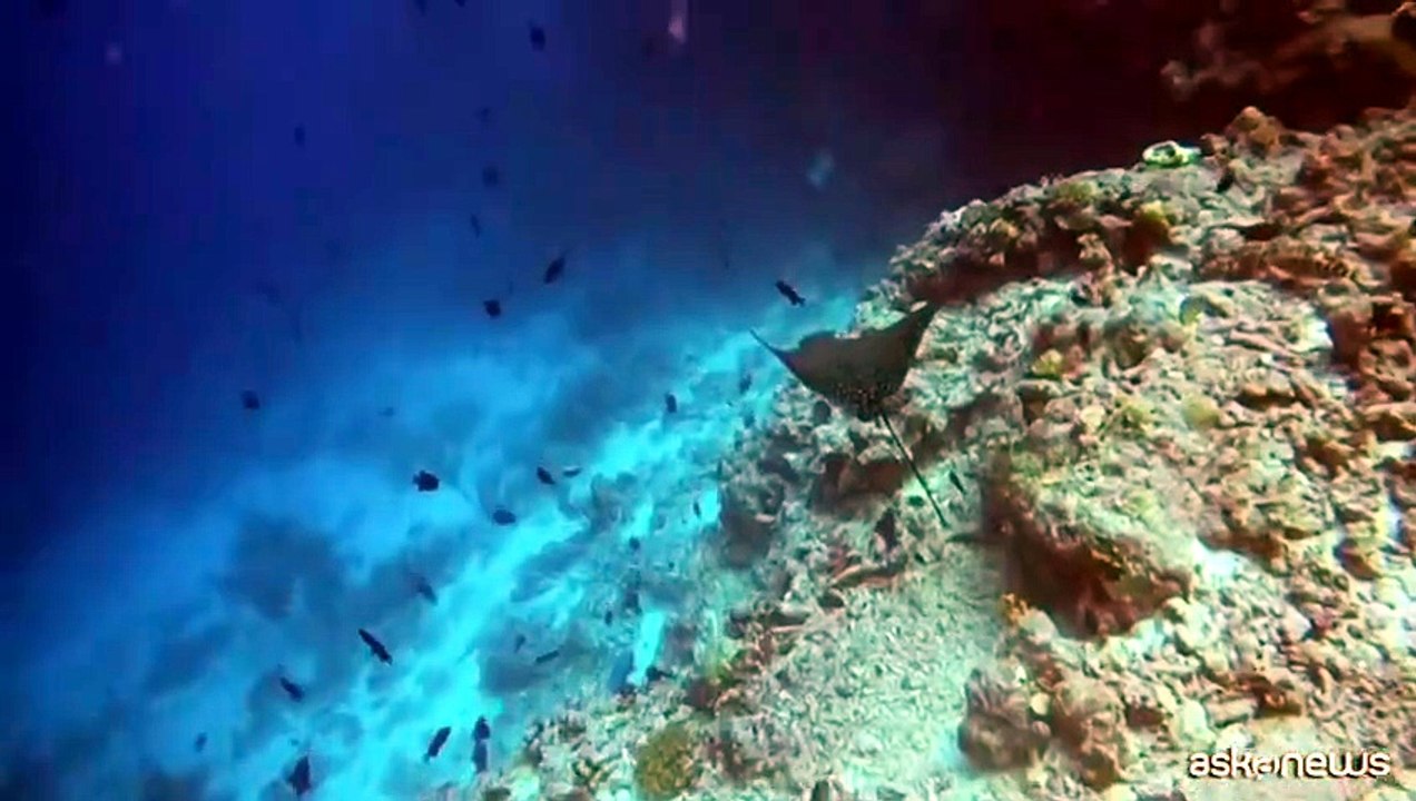 Ritrovati i corpi dei 4 sub italiani morti alle Maldive