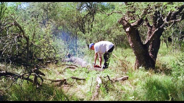 DOUBLE FREEDOM de Lisandro Alonso - Trailer