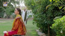 Sher Episode 30 | Danish Taimoor | Sarah Khan | Drama Browser