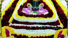 Shri Khatu Shyam Ji Darshan | खाटू श्याम जी दर्शन |  2026