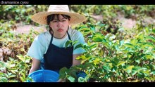 [ENG] EP.3 Azure Spring (2026)