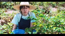 [ENG] EP.3 Azure Spring (2026)