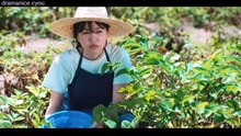 [ENG] EP.3 Azure Spring (2026)