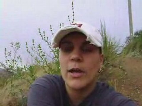 [FOCS] Free Online Cash System - TRULY No Out Of Pocket Cost