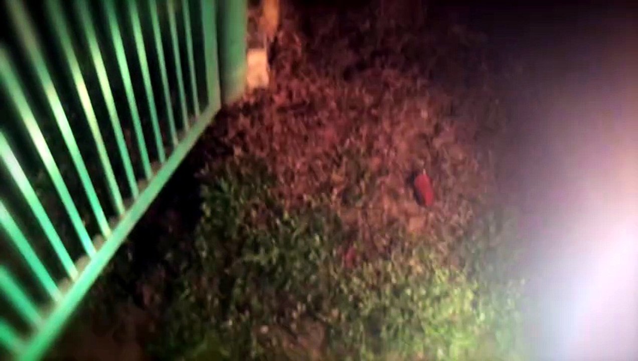 Homestay Abadi (POV horror)
