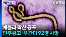 에볼라 확산 공포...민주콩고·우간다에서 92명 사망 / YTN