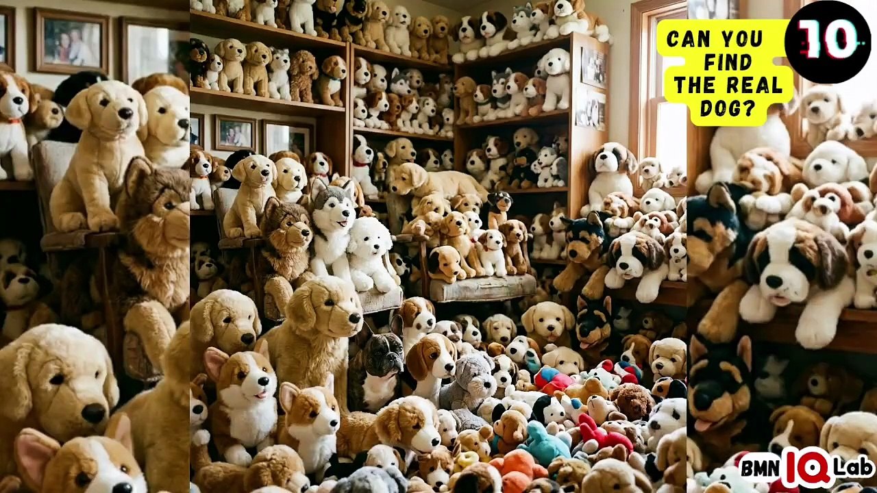 #YourEyesVsTheDogs 👀⚔️🐕 Can You Find The Real Dog? (Part 5) 🐕