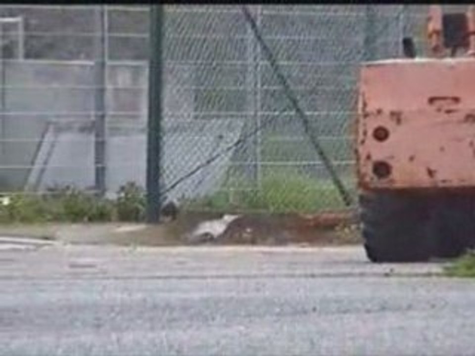 Susi lernt Fahrrad fahren