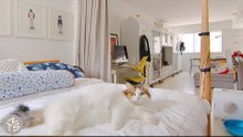 NEVER TOO SMALL: Singapore Graphic Designer’s Maximalist Apartment - 59sqm/635sqft