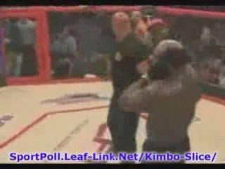 Kimbo Slice Ray Mercer--Is Kimbo Slice Overrated?