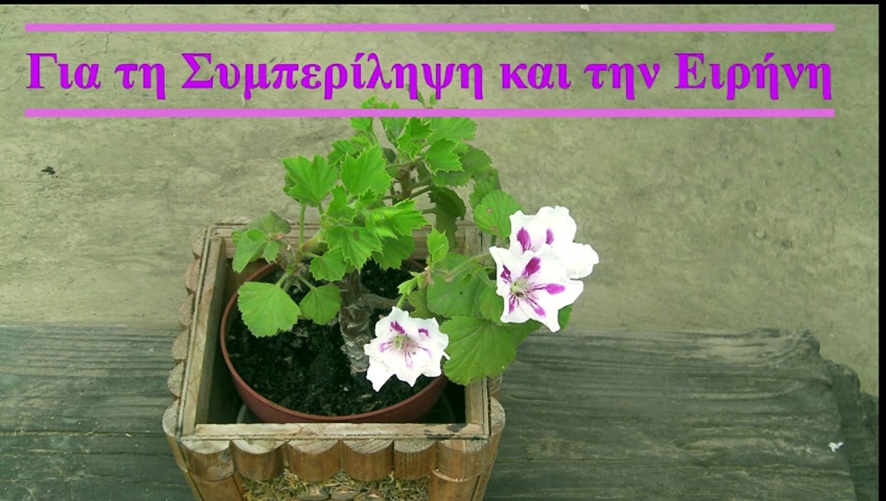 (071-2026) Συμπερίληψη και Ειρήνη
