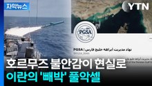 [자막뉴스] 미국 비슷한 명칭에 '초긴장'...불안한 이란의 발표 / YTN