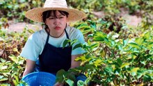 Azure Spring (2026) Episode 3 English Sub
