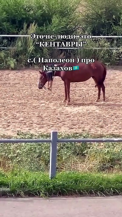 Little boy Horse riding Attempt