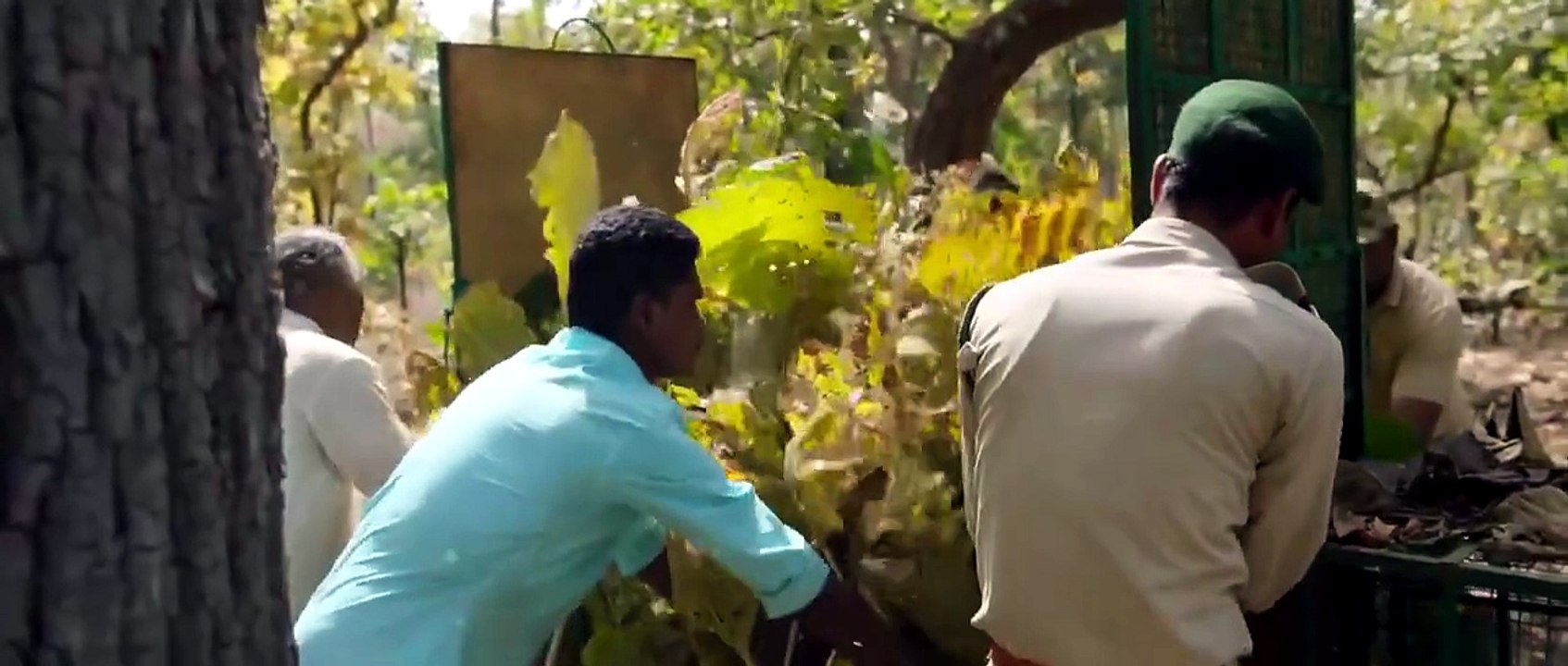 JUNGLE Full Movie - Vidya Balan, Vijay Raaz - New Hindi Adventure Blockbuster Movies 2026