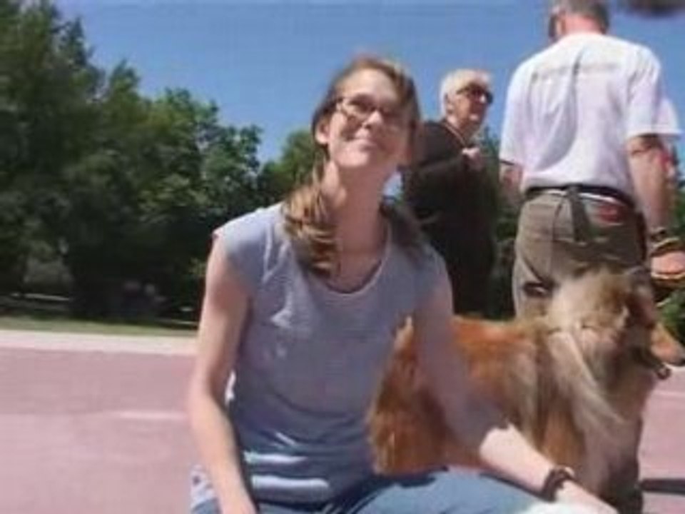 LA JOURNEE DU CHIEN